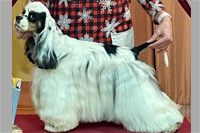 BELLISE BUTTERFLY VALLEY