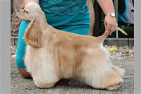 SQUARE POINT´S RIGHT ON MAZPET