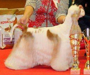 DIRTY DANCING BLACK VICTORIA