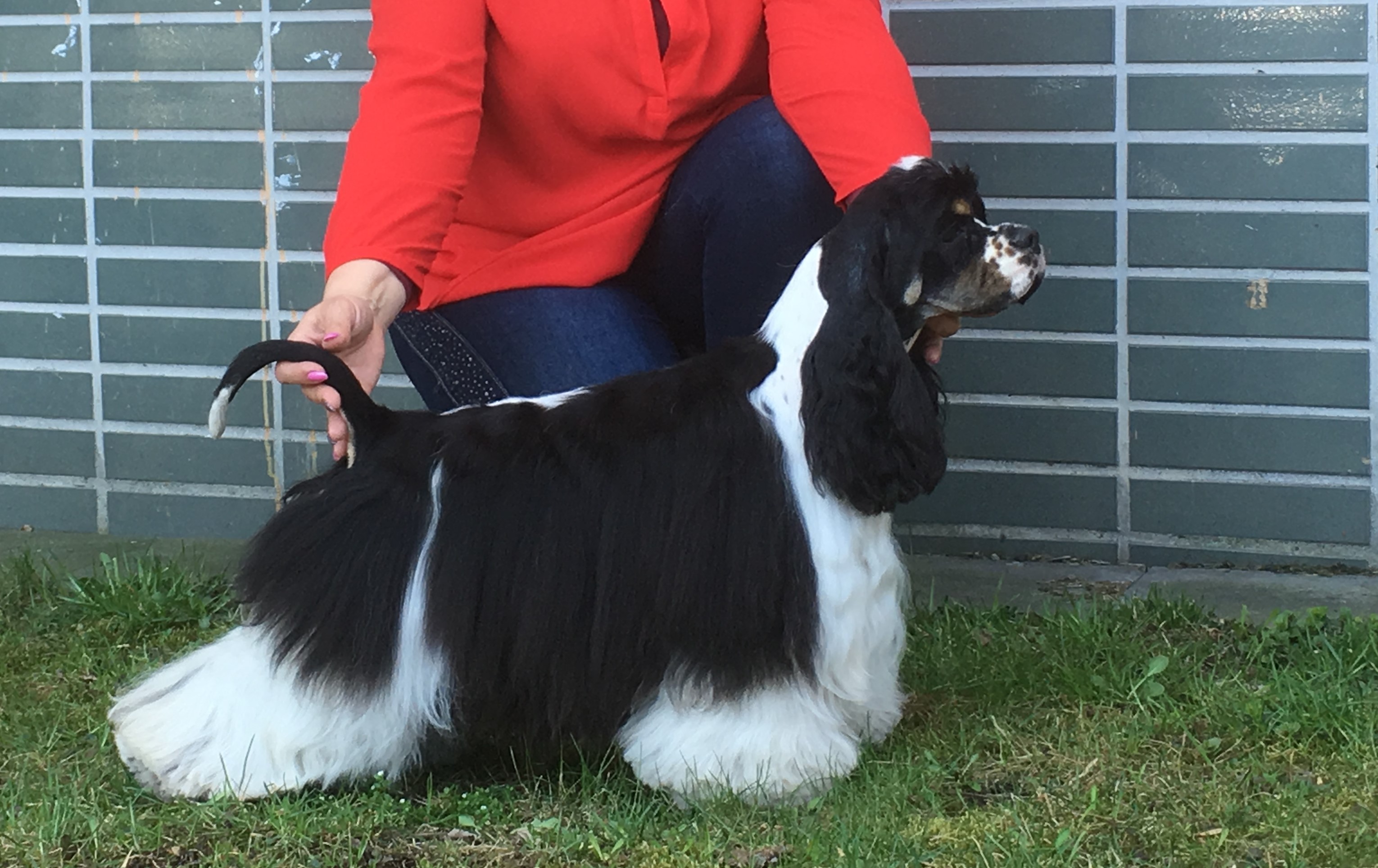 UMBABU ZE SLOVANSKÉ TVRZE