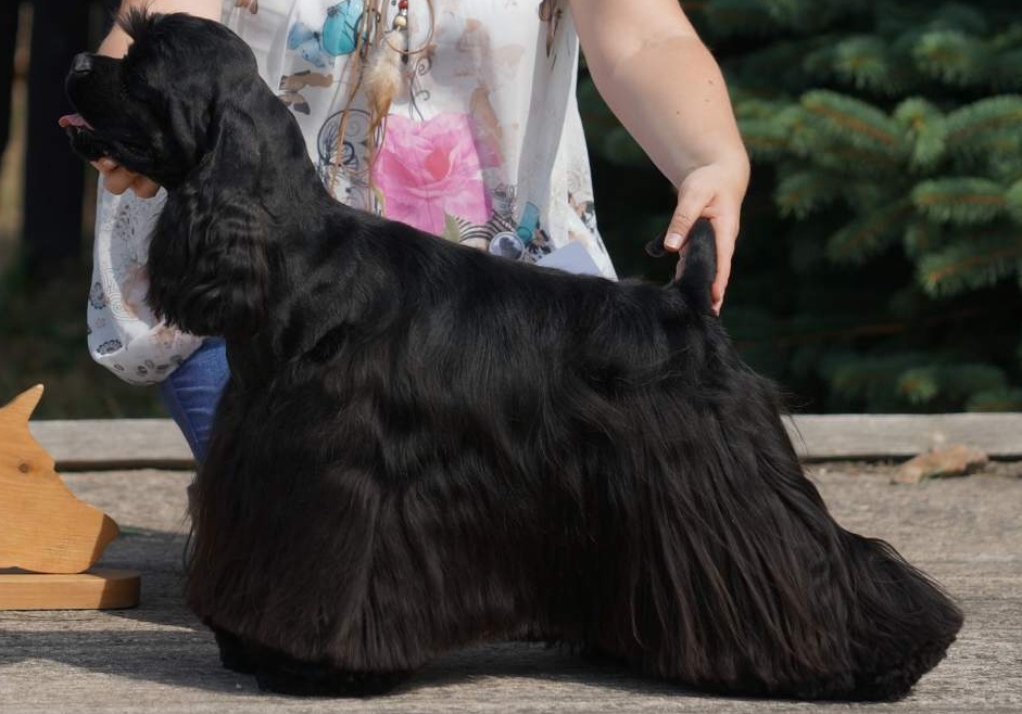 XAN XANADU RUBY STAR