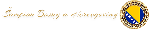 Šampion Bosny a Hercegoviny