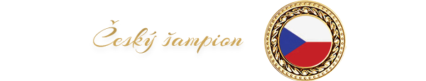 Český šampion
