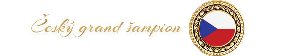 Český grand šampion