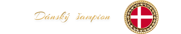 Dánský šampion 