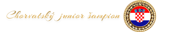 Chorvatský junior šampion