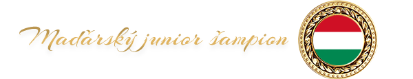 Maďarský junior šampion