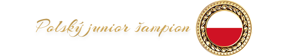 Polský šampion