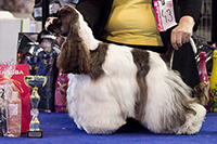 Prim ze Slovanské tvrze