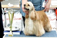 Hope Bohemia Black Diamond