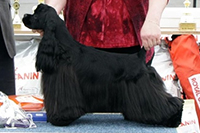 St. Hubert Florida for Hamistu