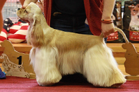 Nellines Confession of Love