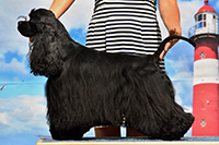 Elizabeth Taylor New Emeny