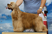 Lewis Tryst ze Slovanské tvrze