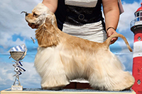 Bel Fast Charming Line