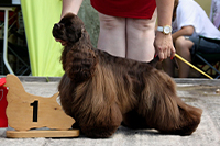 Teddy Tiss ze Slovanské tvrze