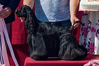 COCO CHANEL CHARMING LINE