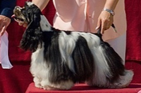 Umbabu ze Slovanské tvrze