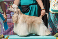  BUBALLOO'S KEY TO YOUR HEART