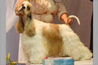 Dirty Dancing Black Victoria