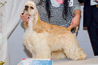 Fabien Andre Ebby Star