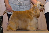 Hope Bohemia Black Diamond