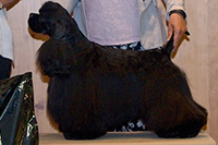  BILLY ELLIOT NORTHERN VILLAGE