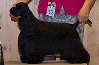 KAIRA BOHEMIA BLACK DIAMOND