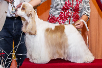 Dirty Dancing Black Victoria