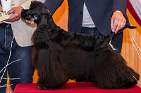 BIGTOP´S HURICANE FORCE