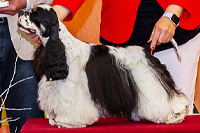 Yosephin ze Slovanské tvrze