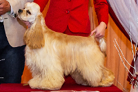 Square Points Right On Mazpet