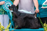 Bigtop´s Hurricane Force