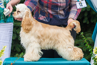 Square Points Right On Mazpet