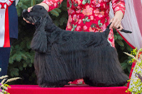 Bigtop ́s Hurricane Force