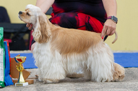 Zoya Tryst ze Slovanské tvrze