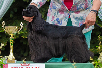 Orca Bohemia Black Diamond