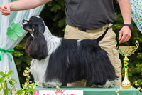 Uragano ze Slovanské tvrze