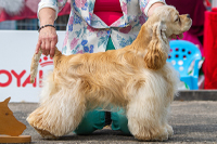 Pointbreak Bringing On The Heartbreak