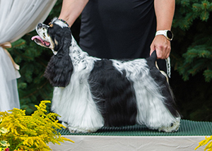 Yosephin ze Slovanské tvrze