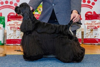 Bigtop´s Hurricane Force