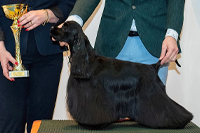 Bella Donna Atropa Bloom For You