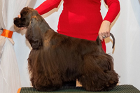 Hermés Saul Diamantová záře