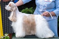  Dirty Dancing  Black Victoria