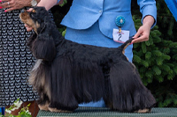 Galaksi Always On My Mind